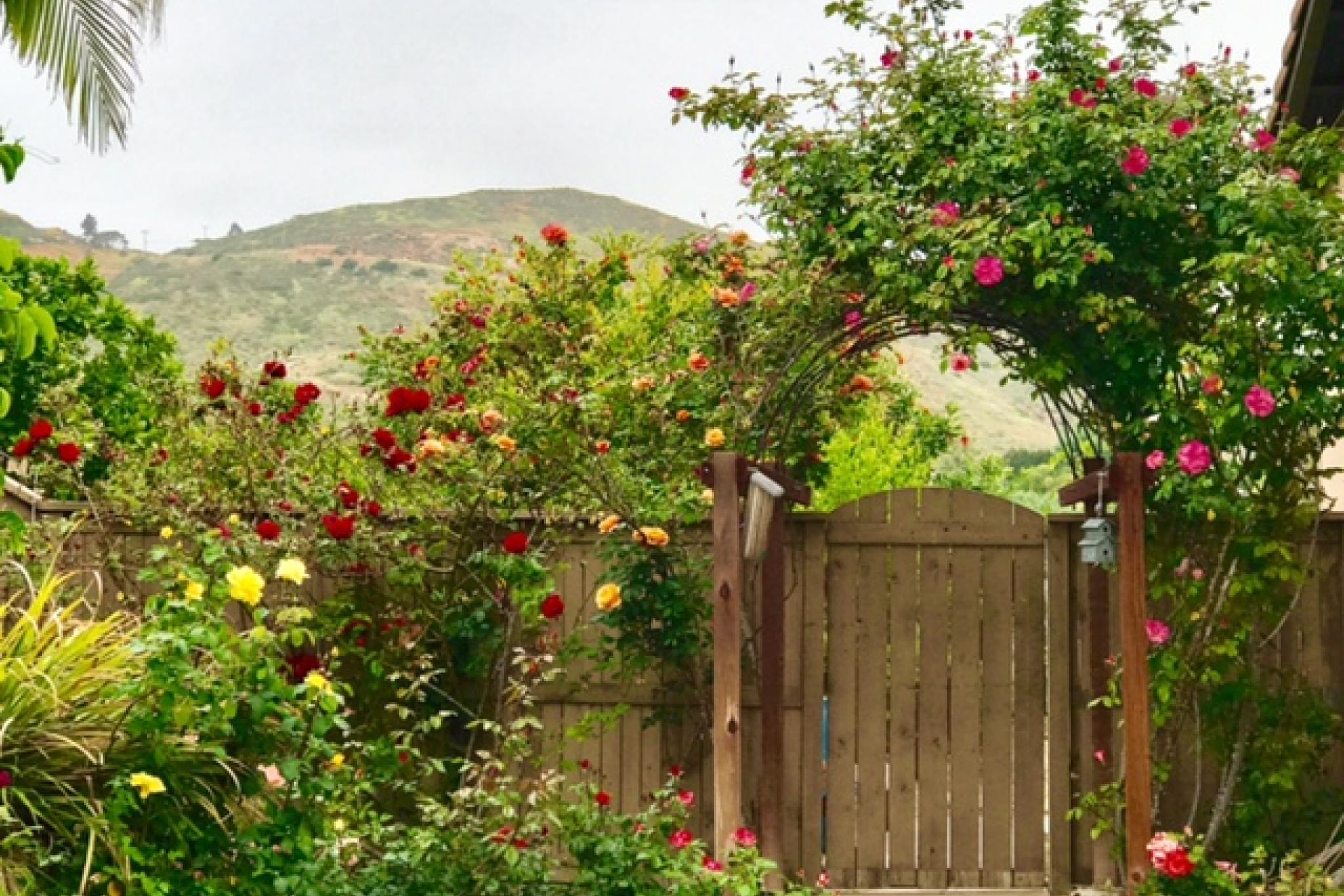 Garden Abode - Rose garden